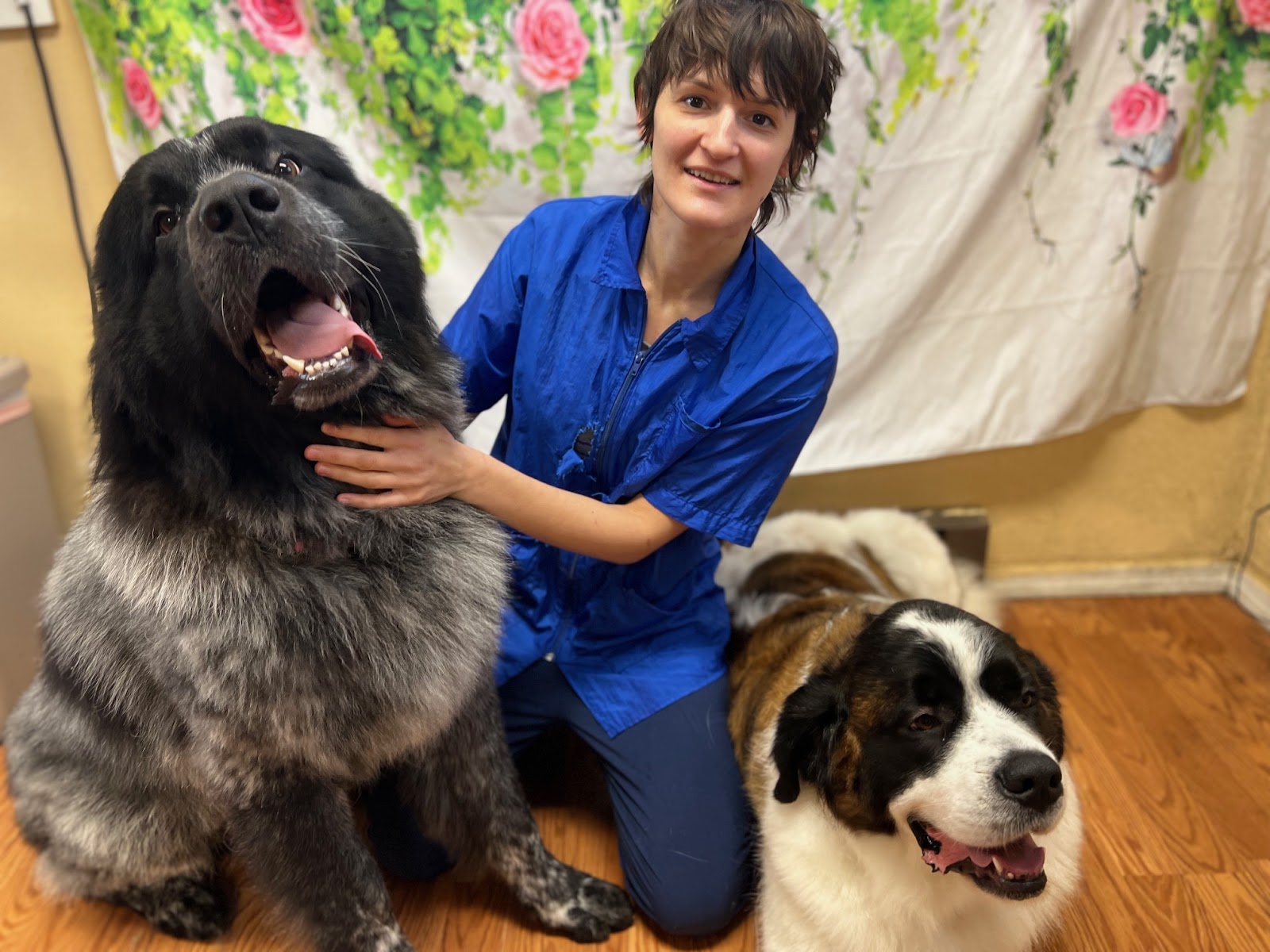 Pet by Spokane Dog Grooming in East Central, Spokane