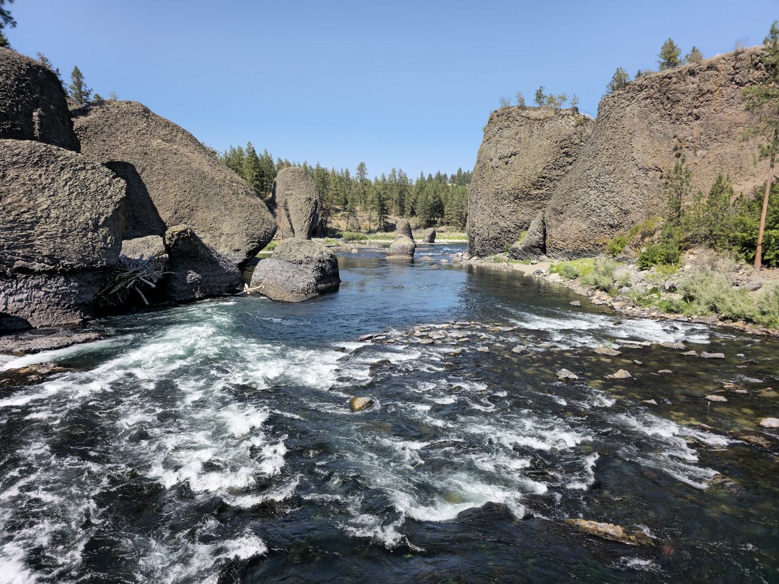 Frequently asked questions by Spokane Dog Grooming in East Central, Spokane