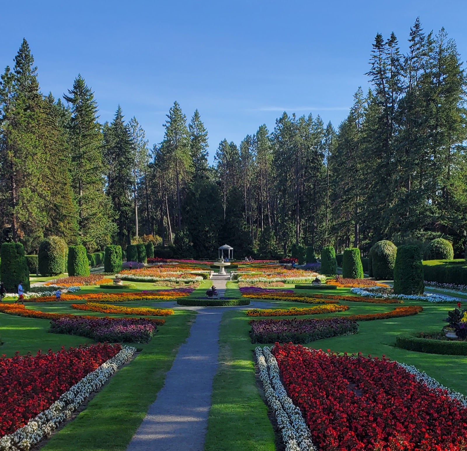 Spokane Dog Grooming clipper service serving East Central, Spokane