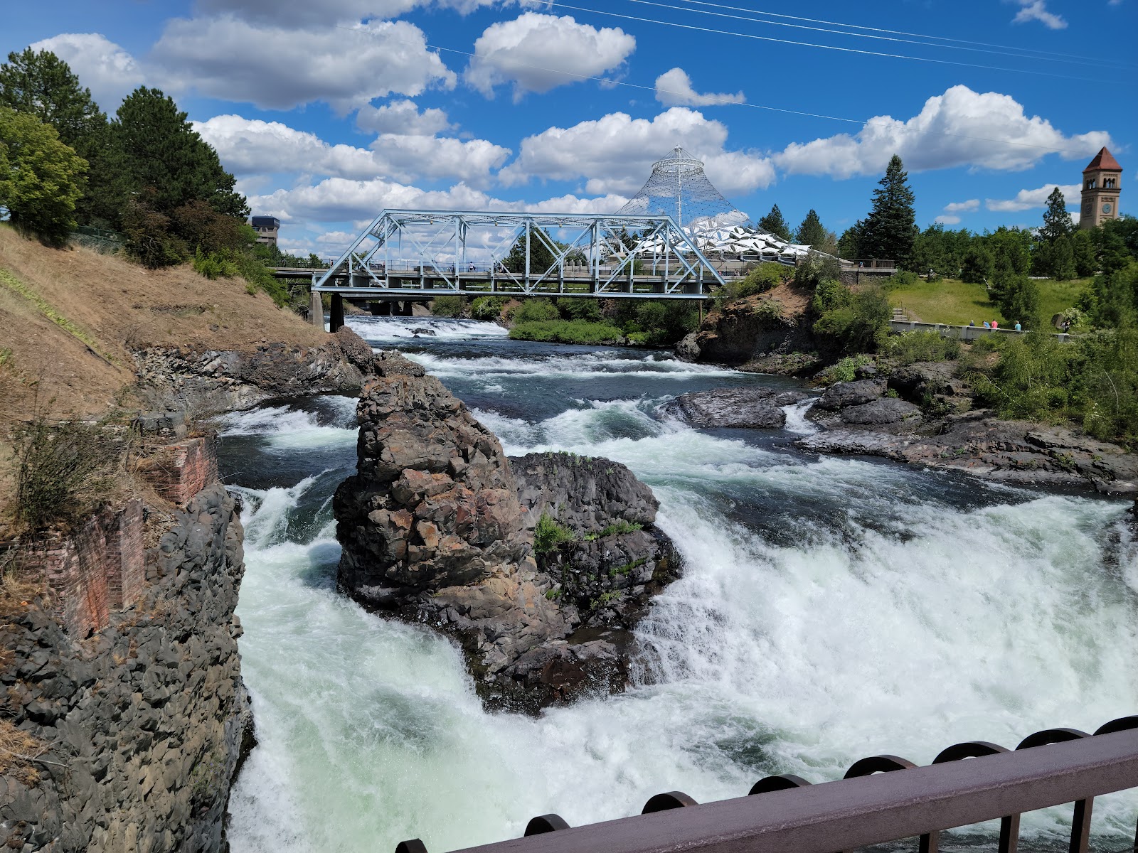 Trusted gum in East Central, Spokane: Spokane Dog Grooming